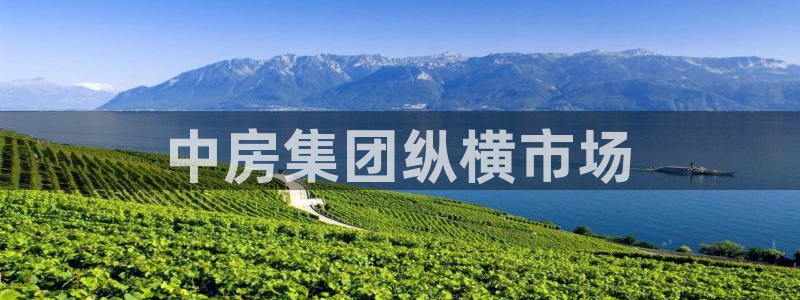 万向娱乐的494o3 主管