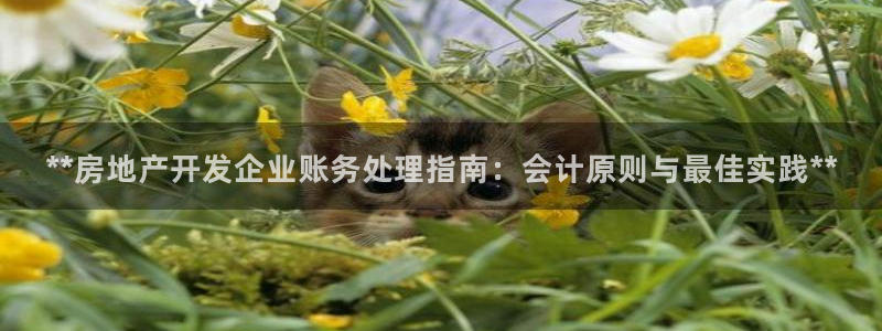 万向娱乐官网首页