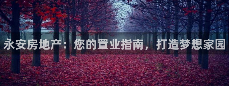 万向娱乐app