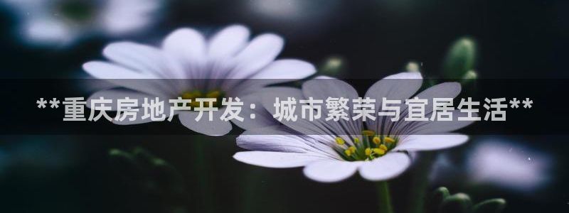 万向娱乐平台怎么下载