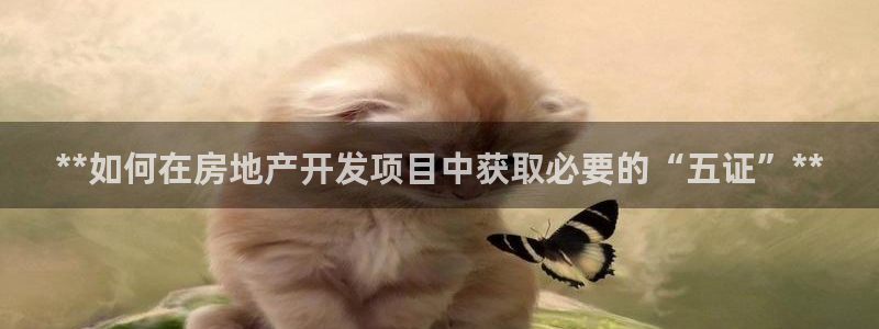 万向娱乐官网网址是多少