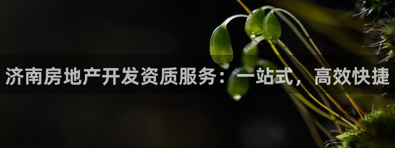 万向娱乐注册登录不了