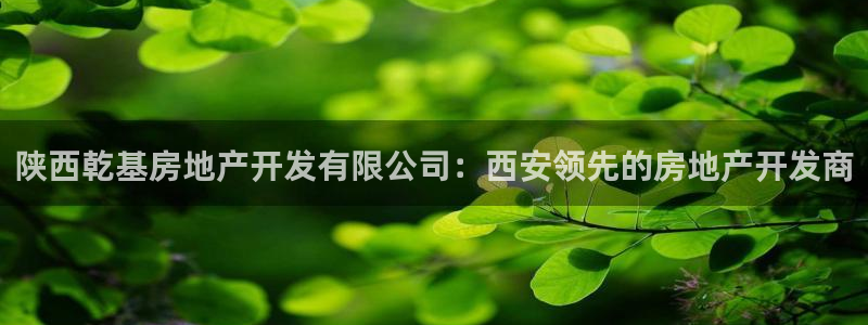 万向娱乐招商