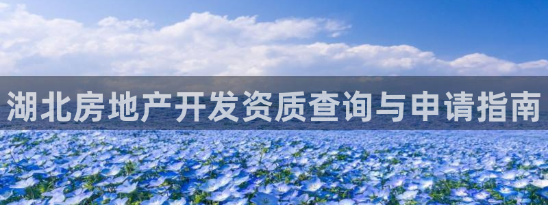 万向娱乐平台怎么下载