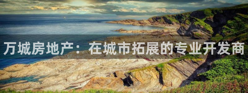 万向娱乐注册主管是谁