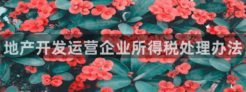 万向娱乐是野鸡台吗
