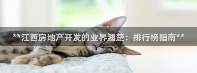 万向娱乐官网