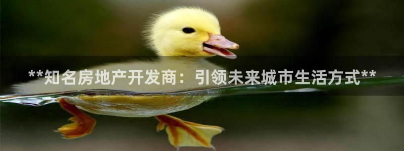 万向娱乐是野鸡台吗