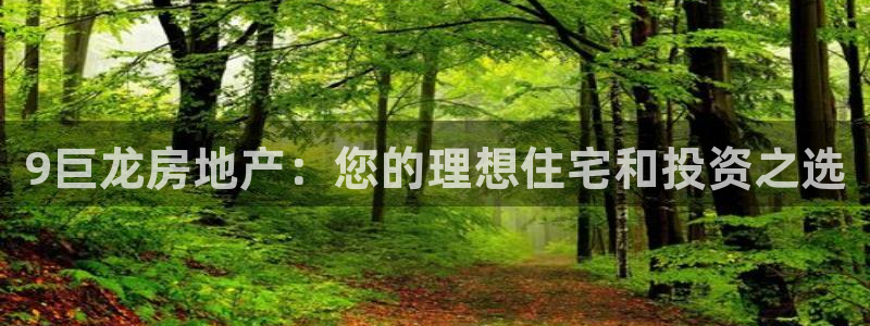 万向娱乐app