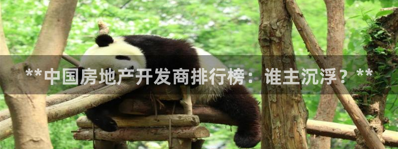 万向娱乐官网