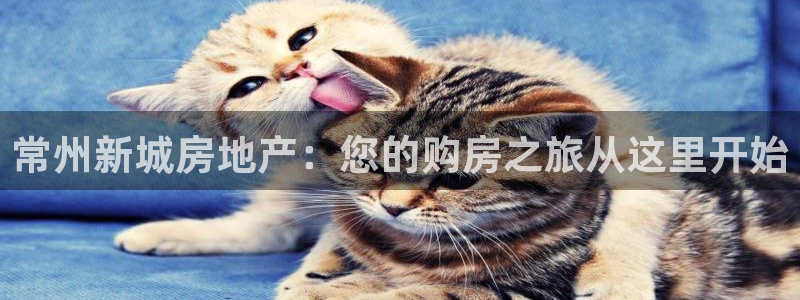万向娱乐平台好不