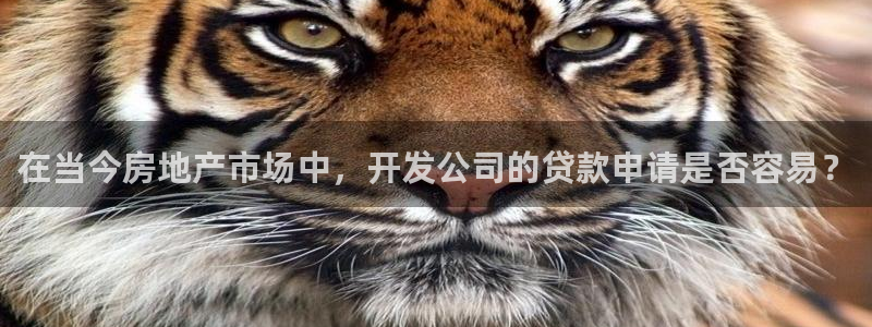 万向娱乐平台代理怎么样赚钱