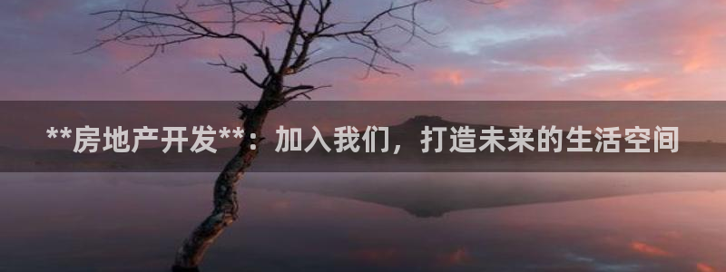 万向娱乐的494o3 主管