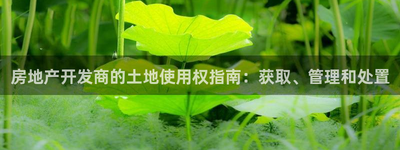 万向娱乐技术