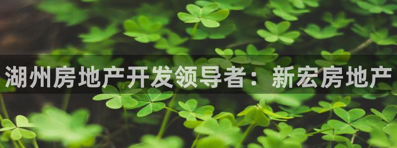万向娱乐官网网址是多少