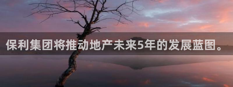 万象游戏代理