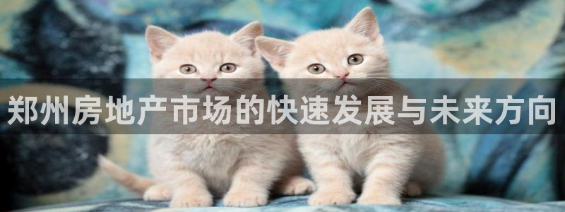 万向娱乐平台代理怎么做赚钱