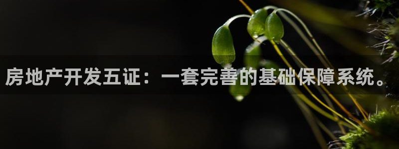 万象国际娱乐网址
