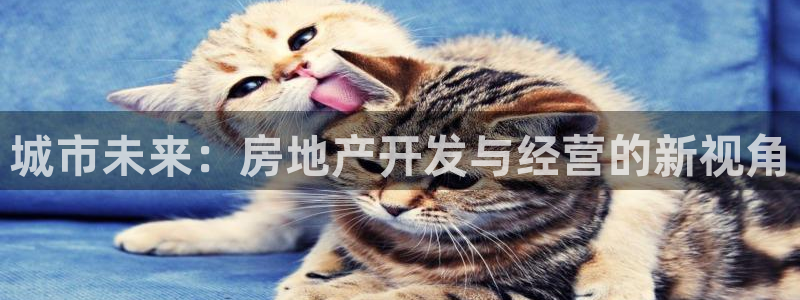 万向娱乐官网网址是什么
