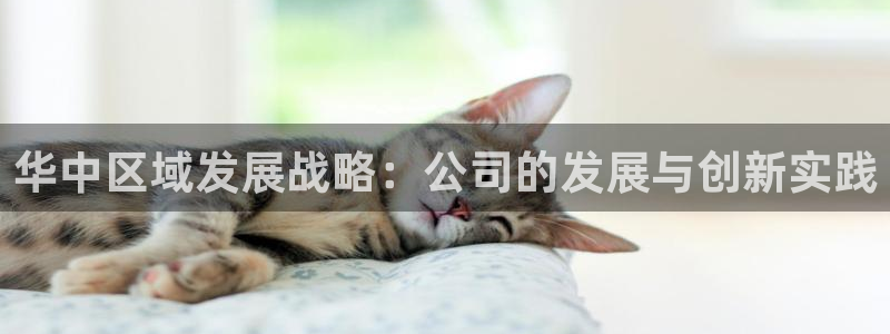 万向娱乐平台代理怎么样啊