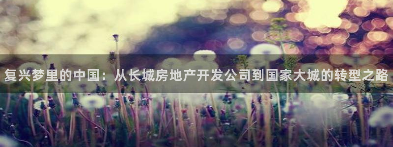 万向娱乐的494o3 主管