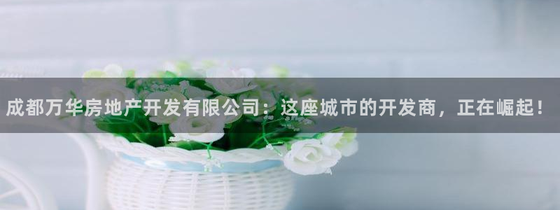 万向娱乐官网下载