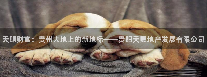 万向娱乐公司官网电话