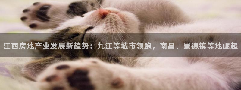 万向娱乐是哪个旗下