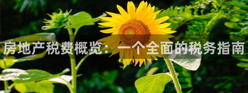 万向娱乐注册资金多少亿