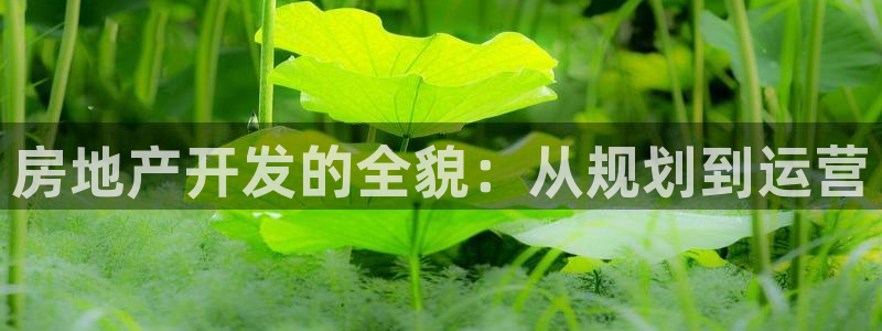 万向娱乐首页