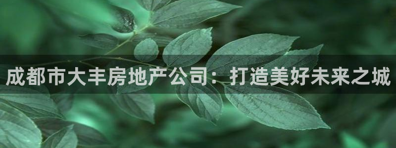 万向娱乐平台代理多少钱一个月