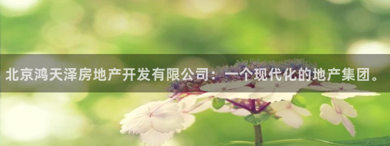 万向娱乐app