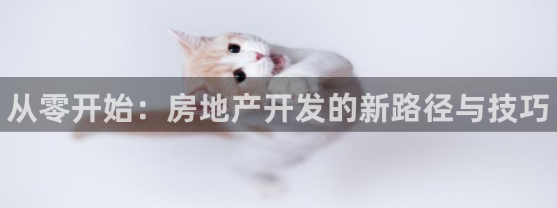 万向娱乐平台代理怎么做的