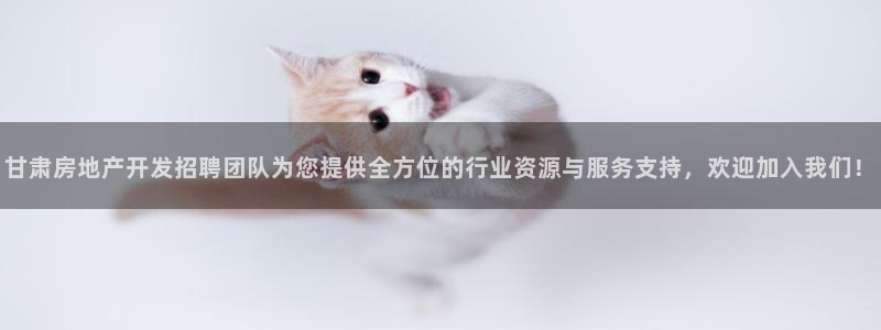 万向娱乐技术