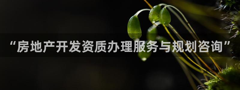 万向娱乐网址是什么