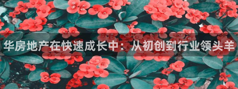 万向娱乐下载安装