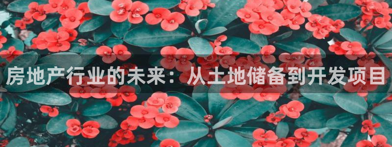 万向娱乐平台下载安装手机版