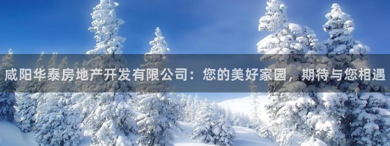 万向娱乐官网