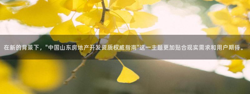 万向娱乐平台代理多少钱