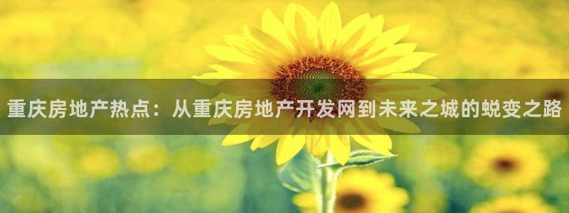 万向娱乐平台注册流程及费用