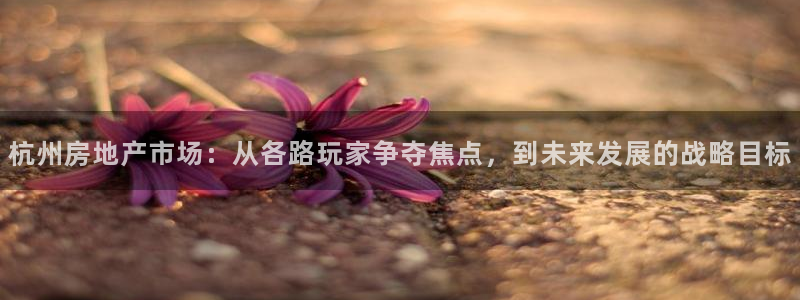 万向娱乐注册登录不了怎么回事