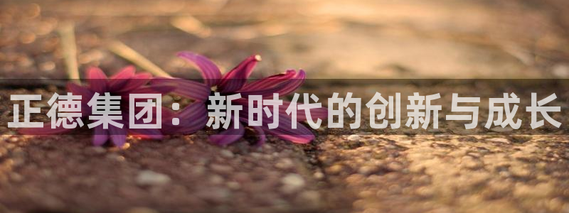 万向娱乐总代