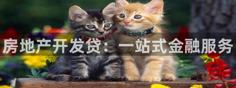 万向娱乐平台注册条件有哪些