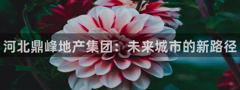 万向娱乐注册登录开户怎么弄