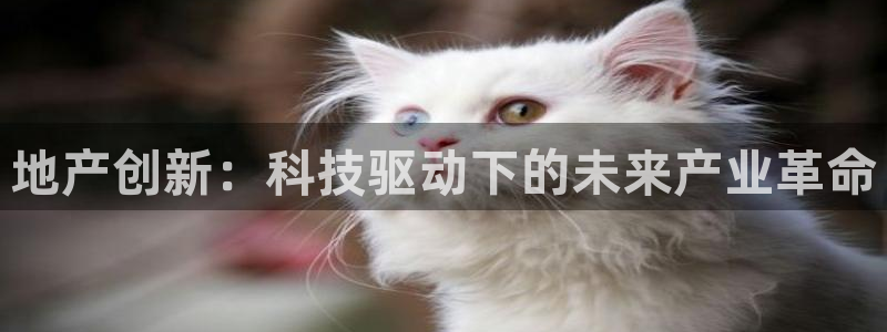 万向娱乐平台注册条件有哪些