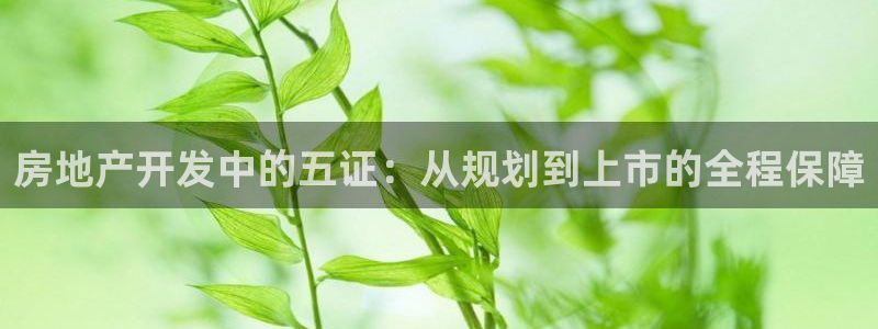 万向娱乐王者荣耀