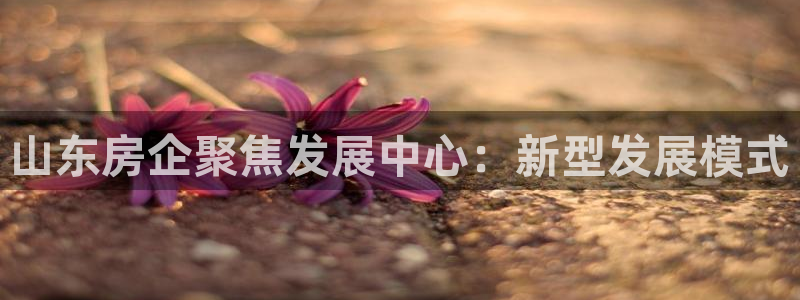 万向娱乐的注册登录是什么