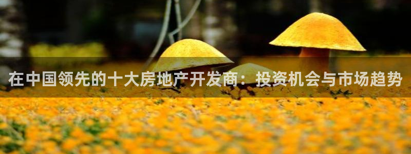 万向娱乐注册开户需要什么