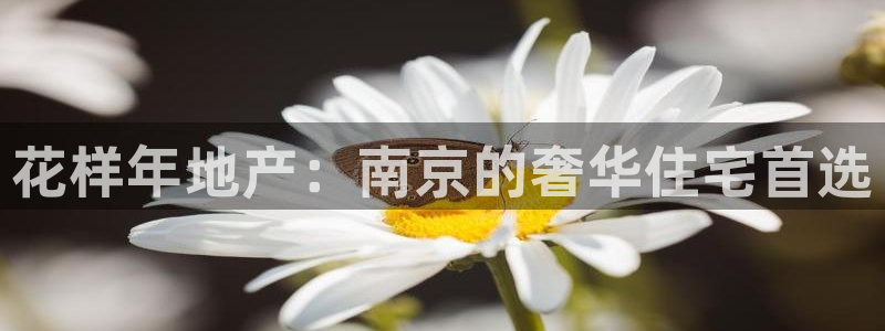 万向娱乐注册登录不了怎么回事