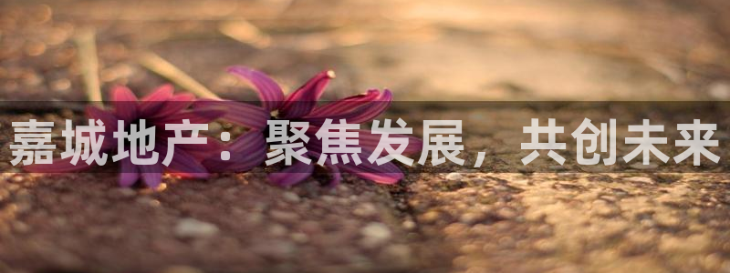 万向娱乐平台注册